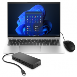 HP EliteBook 865 G10 5Z537ES + USB-C Multi Hub + 125 USB-Maus 16,0