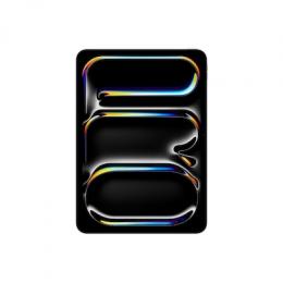 Apple iPad Pro 11 Wi-Fi + Cellular 256GB space schwarz ( B-Ware
