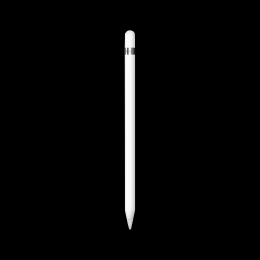 Apple Pencil (1. Generation) | Zustand: Sehr gut