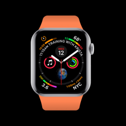 Apple Watch (Series 4) Hermès Edelstahl 44 mm GPS + Cellular - Silber