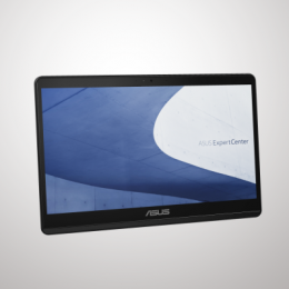 ASUS ExpertCenter E1 AiO All-in-One PC 39.6cm (15,6