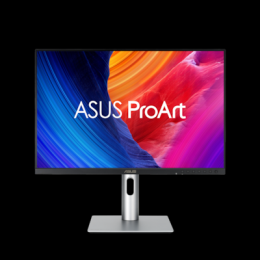 ASUS ProArt PA248QFV 24,1 Zoll - Office Monitor 61,2cm (24,1