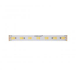 Beneito 5-m-LED-Streifen FINE-36, 60 W, 24 V DC, Tunable White, 12 W/m, 1200 lm/m, 140 LEDs/m, IP20