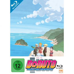Boruto: Naruto Next Generations - Volume 14      (Ep. 233-246) (3 Blu-rays)