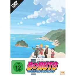 Boruto: Naruto Next Generations - Volume 14      (Ep. 233-246) (3 DVDs)