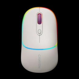 CANYON Mouse MW-22 2in1 BT/ Wireless Rice
