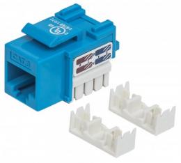 Cat6 Modularbuchse INTELLINET UTP, Keystone Jack, blau, bentigt LSA-Auflegewerkzeug