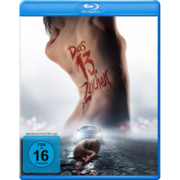 Das 13. Zeichen      (Blu-ray)