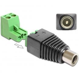 Delock Adapter Terminalblock > DC 2,1 x 5,5 mm Buchse 2-teilig