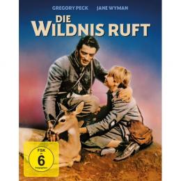 Die Wildnis ruft  MediaBook    (Blu-ray+DVD)