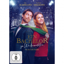 Ein Bachelor zu Weihnachten      (DVD)