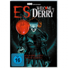 ES: Welcome to Derry      (4 DVDs)