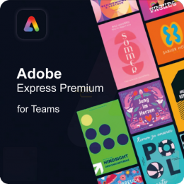 Express for teams Abonnement Lizenz   1 Client 1 Jahr Stufe 1 (1 - 9) Win/Mac