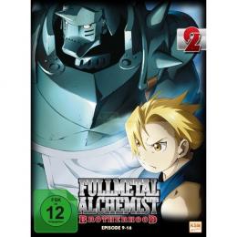 Fullmetal Alchemist: Brotherhood - Volume 2 - Folge 09-16      (2 DVDs)