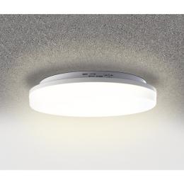 HEITRONIC 24-W-LED-Wand-/Deckenleuchte Pronto mit Bajonett-Anschluss, rund, warmweiß, IP54