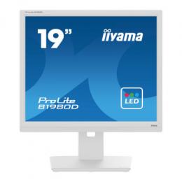 Iiyama ProLite B1980D-W5 Business Monitor - Pivot, DVI, VGA