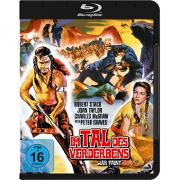 Im Tal des Verderbens      (Blu-ray)