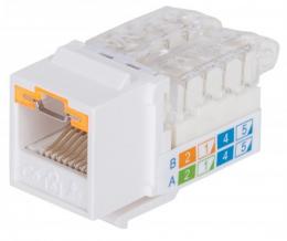 INTELLINET Abschliebare Cat6 Modularbuchse, ungeschirmt