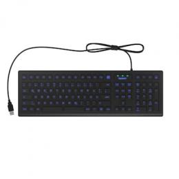 Keysonic KSK-8031INEL - Hygienische Industrietastatur Industrietastatur, USB, Beleuchtet, Silikon, schwarz, Wasser und Staub geschützt, Deutsch