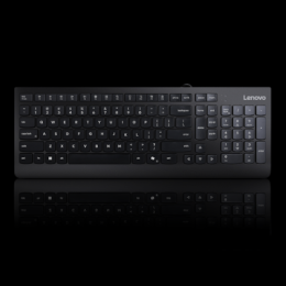 Lenovo 300 USB Keyboard - German (129)