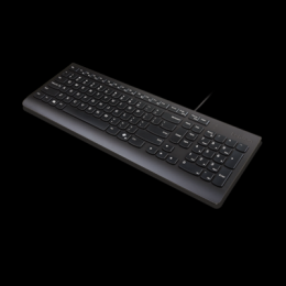 Lenovo Essential Tastatur | Copilot Taste