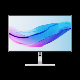 Lenovo L24m-4A Office Monitor B-Ware