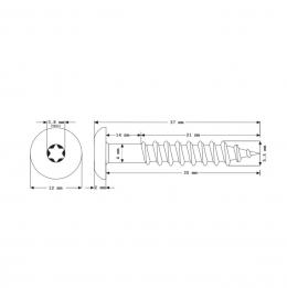 Meisterling Fassadenschrauben 5,5x35 mm 100 Stück ( 010030000161 ) 12 mm Flachkopf enzianblau mit Torx Teilgewinde V4A Edelstahl 