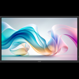 MSI PRO MP165DE E6 Tragbarer Monitor - 1920x1080 (FHD)