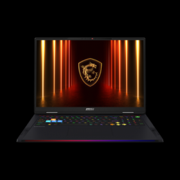 MSI Raider 18 HX AI A2XWIG-075 B-Ware - 18