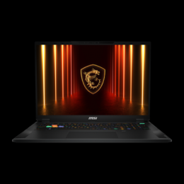 MSI Stealth 18 HX AI A2XWIG-042 B-Ware - 18