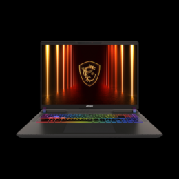 MSI Vector 16 HX AI A2XWHG-074 B-Ware - 16