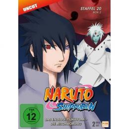 Naruto Shippuden - Episode 642-651      (2 DVDs)