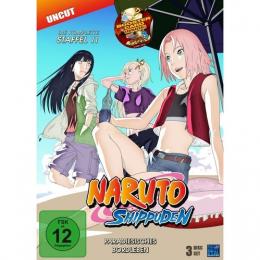 Naruto Shippuden - Paradiesisches Bordleben - Staffel 11:      Folge 443-462 (3 DVDs)