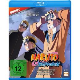 Naruto Shippuden - Staffel 25      Episode 700-713 (2 Blu-rays)