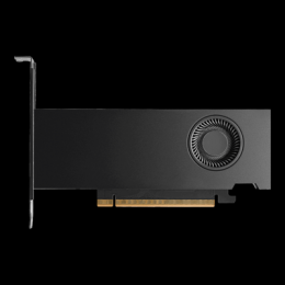 NVIDIA RTX PRO 2000 Blackwell - 16GB GDDR7, 4x mDP