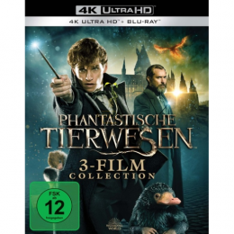 Phantastische Tierwesen 3-Film Collection      (4K-UHD+Blu-ray)