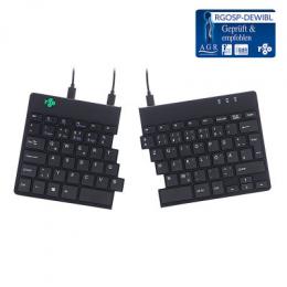 R-Go Split Break Ergonomische Tastatur, QWERTZ (DE) - schwarz, kabelgebunden