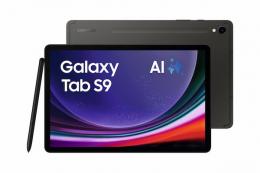 Samsung X710N Galaxy Tab S9 Wi-Fi 128 GB (Grau) 11