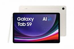 Samsung X710N Galaxy Tab S9 Wi-Fi 256 GB (Beige) 11