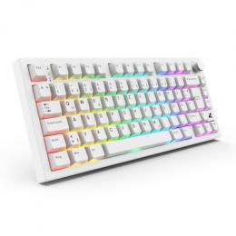 Sharkoon SGK55W Gaming Tastatur kabellose Gaming Tastatur im 75%-Layout mit PBT-Tastenkappen, weiß