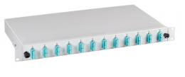 Spleibox SC/SC 50/125OM3 a., 48 Pig / 24 Kuppl.