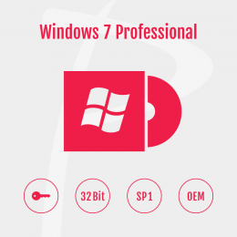 Windows 7 Professional