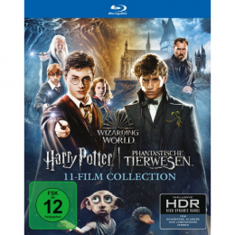 Wizarding World 11-Film Collection      (Blu-ray)
